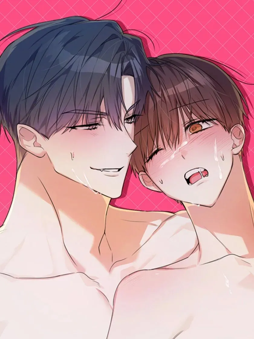 Ảnh bìa truyện Hang Thỏ